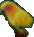 Plunky: Sun Conure Parakeet Perched