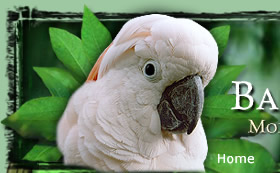 Friends of the Aviary Home Page