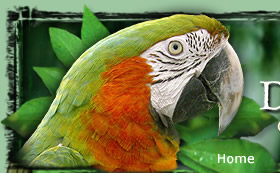 Friends of the Aviary Home Page