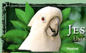 Friends of the Aviary Home Page