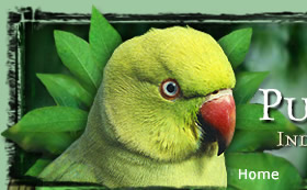 Friends of the Aviary Home Page