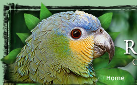 Friends of the Aviary Home Page